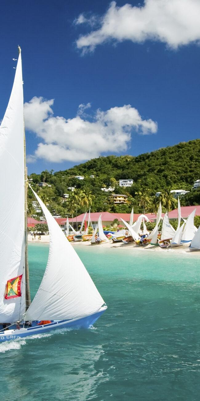 grenada-boat-racing-650x1300
